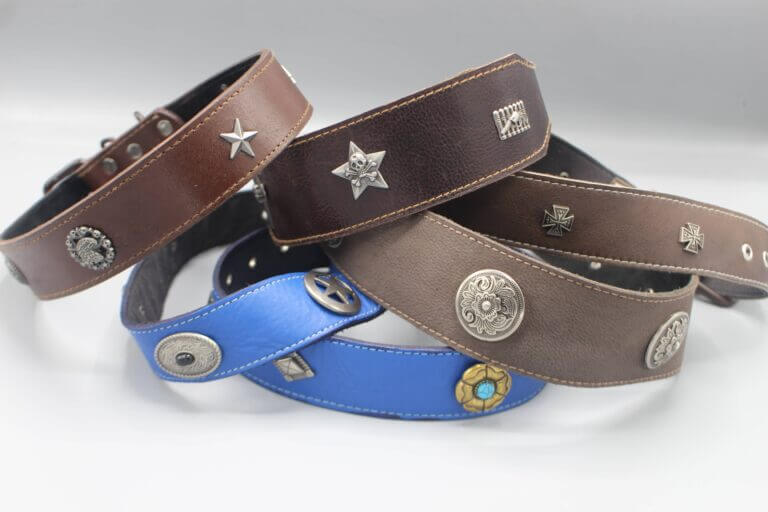 dog collar from leather belt