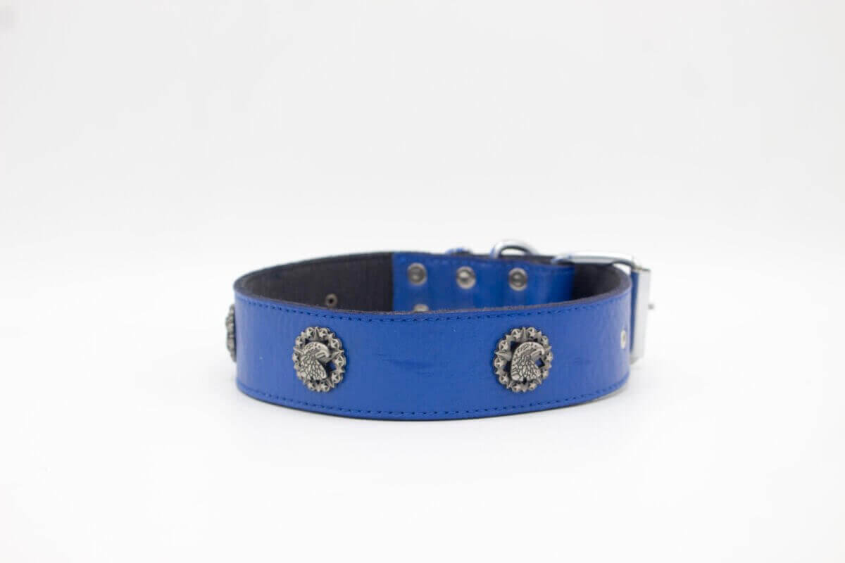Eagle Eye Dog Collar | Genghis Blue Leather Collar