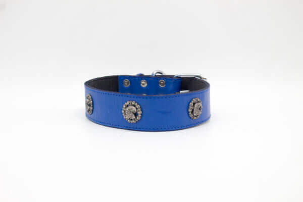 Taxes Dog Collar | Genghis Golden Star with Cone Leather Collar