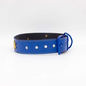 Taxes Dog Collar | Genghis Golden Star with Cone Leather Collar