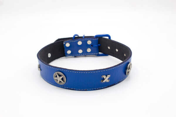 Silver Dog Collar | Genghis Vintage Taxes Star Blue Leather Collars