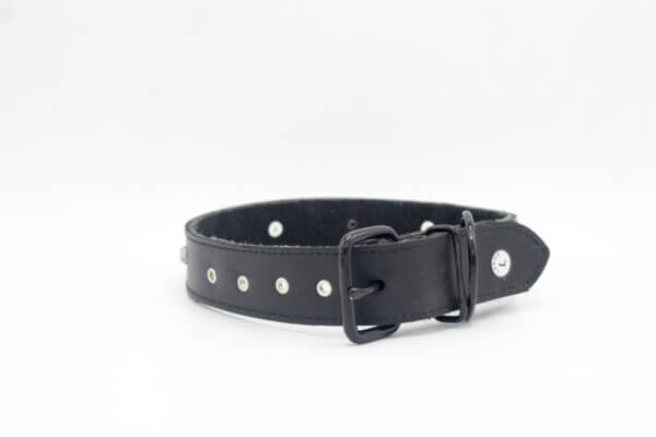 Designer vintage Dog Collar | Genghis Vintage Designers Leather Dog Collars