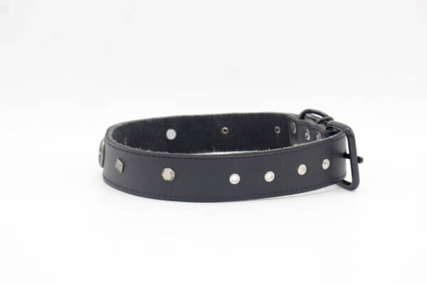 Black Genghis Dog Collar | Genghis Hollow Spike Leather Dog Collars