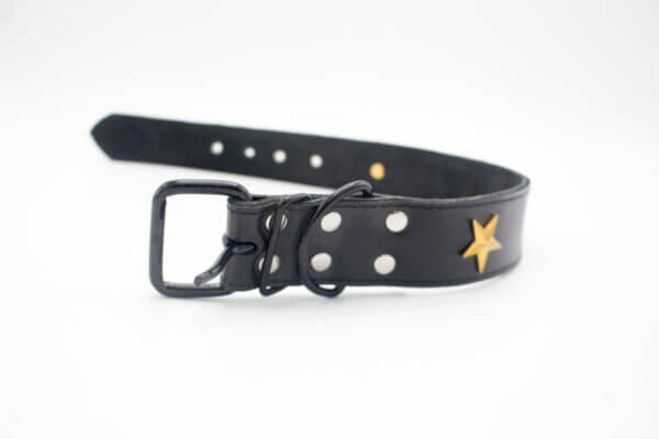 Black Dog Collar | Genghis Golden Star & Flower Leather Dog Collars