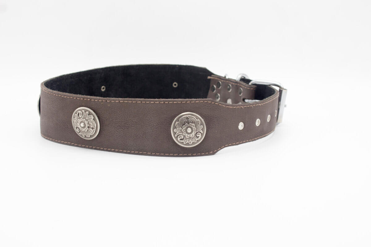 Fancy Dog Collars / Leather Collar