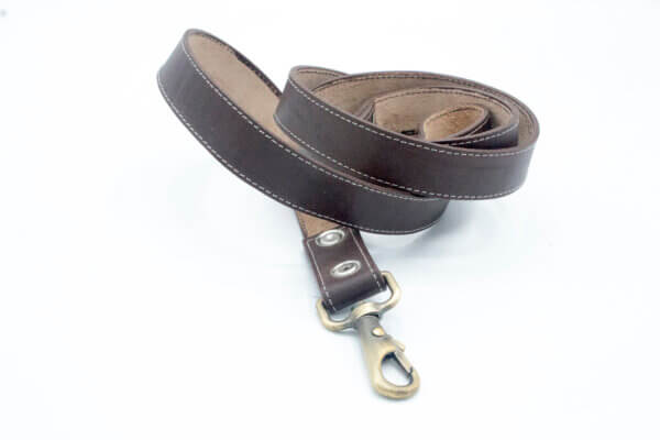 Astra Leather Dog Leashes