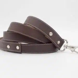 Forty leather Dog Leash