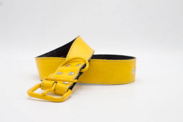 Vintage Yellow Dog Collar