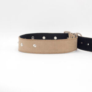 Sliver Brown Leather Dog Collar | Genghis Pointed Sliver Stud Dog Collar