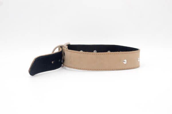Sliver Brown Leather Dog Collar | Genghis Pointed Sliver Stud Dog Collar