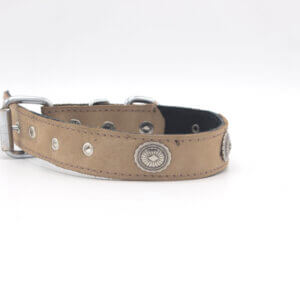 stud leather Dog collar