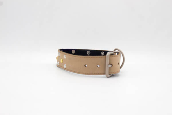 2008 Stud Leather Dog Collar