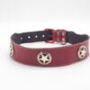 Genghis Royal Dog Collar / Leather Collar