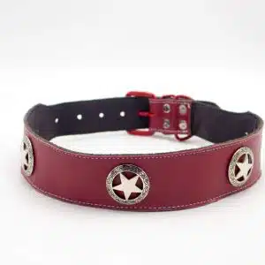 Genghis Royal Dog Collar | Genghis Emperor Royal Dog Collars / Leather collar