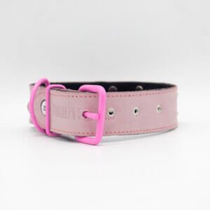 Round Studs Dog Collars | Genghis Double Round Stud Leather Dog Collar