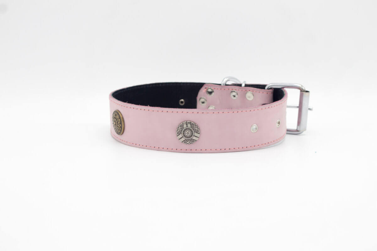 stud leather Dog collar / Shield Stud Dog Collar