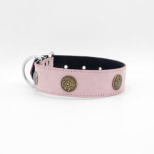 Genghis Shield Dog Collar | Genghis Shield Stud leather Dog Collars