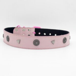 Pointed Studs Dog Collar | Genghis Star Pointed Stud Leather Dog Collars