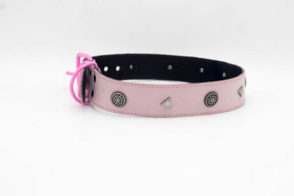 Pointed Studs Dog Collar | Genghis Star Pointed Stud Leather Dog Collars