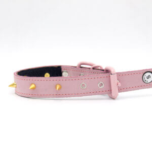 Golden Cone Dog Collar | Genghis Golden Cone Pink Leather Collar