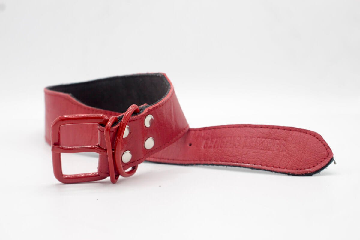 Vintage Red Dog Collar | Vintage Simple Red Leather Dog Collars