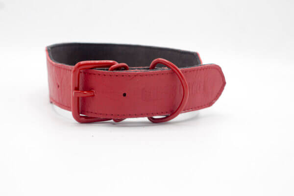 Vintage Red Dog Collar | Vintage Simple Red Leather Dog Collars