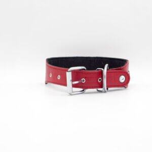 Queen Designer Dog Collar | Genghis Queen Designer Leather Dog Collars