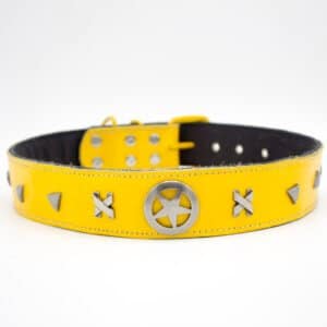 Plated Leather Collar