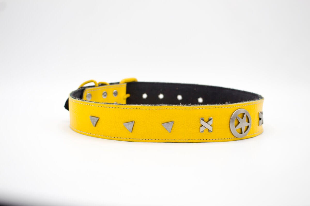 Plated Leather Dog Collar | Genghis Texas Star & Plated Leather Dog Collars