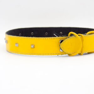 Genghis Yellow Dog Collar Three Round Plated leather Dog Collars