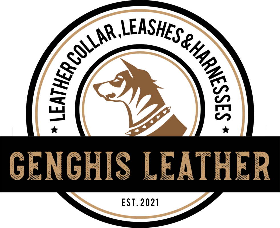 Handmade Designer Leather Dog Collars, Dog Leashes ,Harnesses