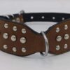 Padded Leather Dog Collar/Thick Dog Collars