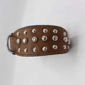 Dog Collar / Leather Dog Collar