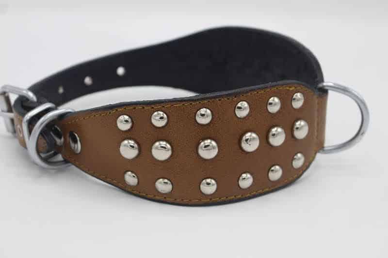 Padded Leather Dog Collar