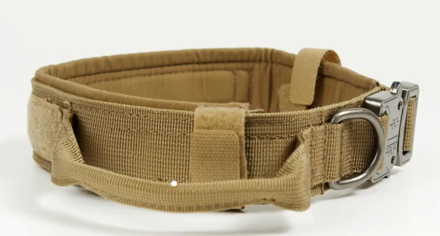 Military Style Dog Collars