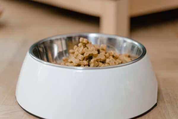 Dog Diet/ dog bowl