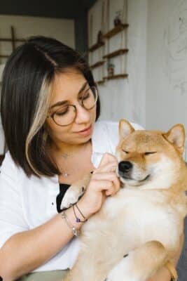 Dog Health Insurance / Dog Flea / Dog Medication