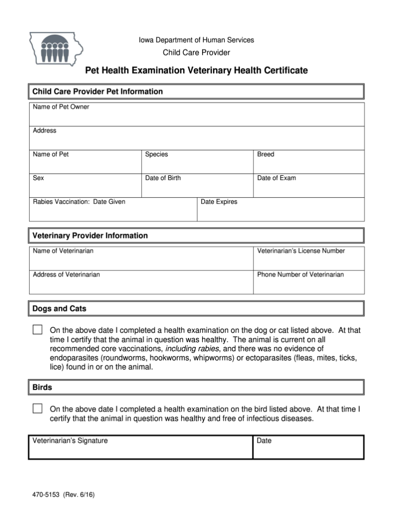 Dog Health Certificate Cost: What to Expect When Traveling [2024]