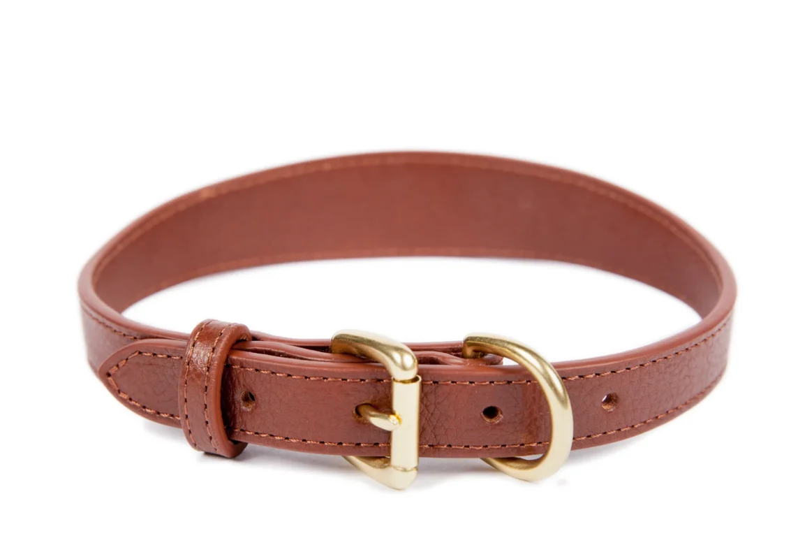 Dog Collar