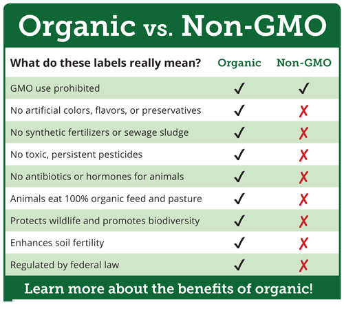 Organic vs inorganic foods