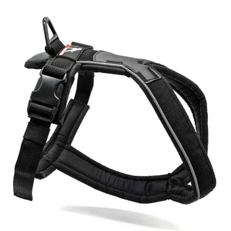 Dog Harness