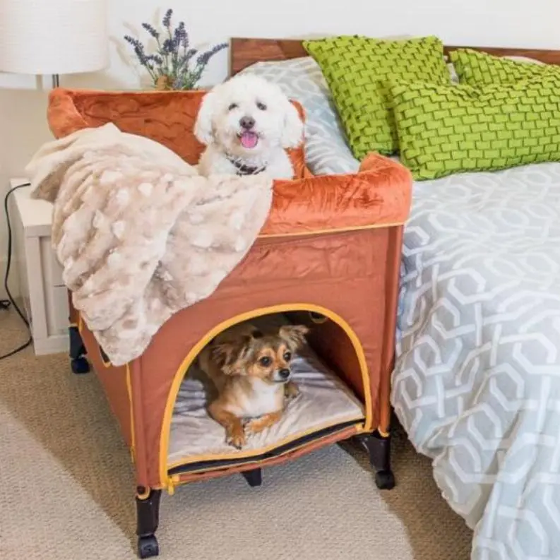 Discover the Best Dog Bed in 2025: Essential Tips for Your Pet's Comfort and Health 4 Dog Bed