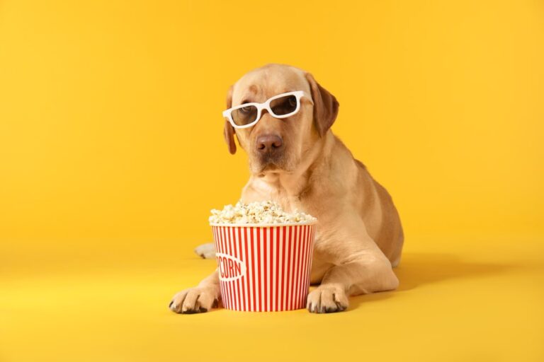 Can Dogs Eat Popcorn