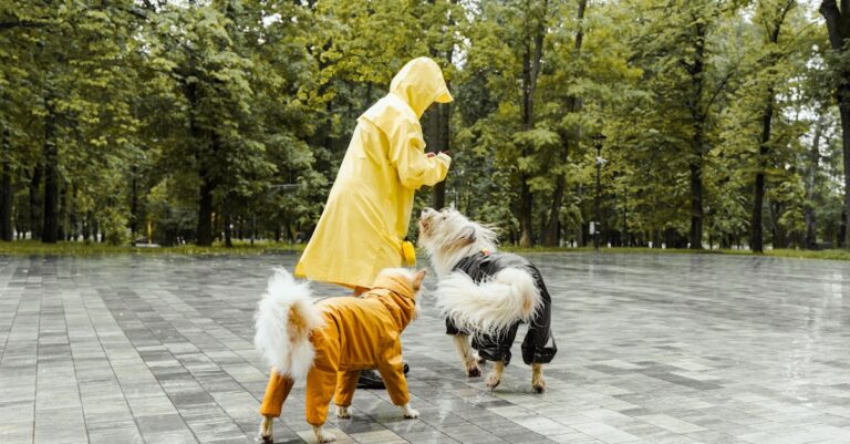 Dog Raincoats