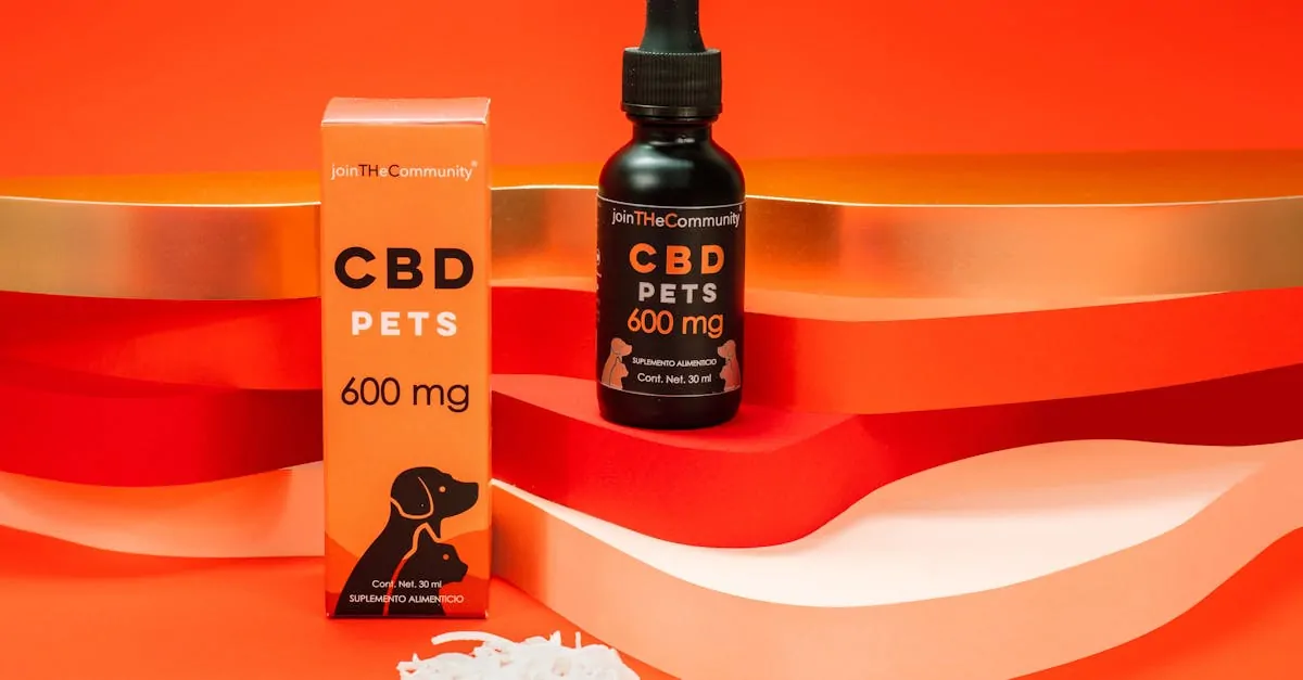 CBD Oil for dogs