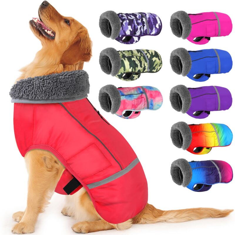 Dog Coats 