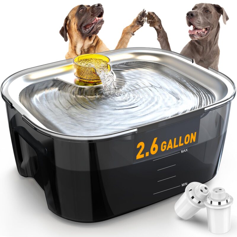 Dog Water Fountains