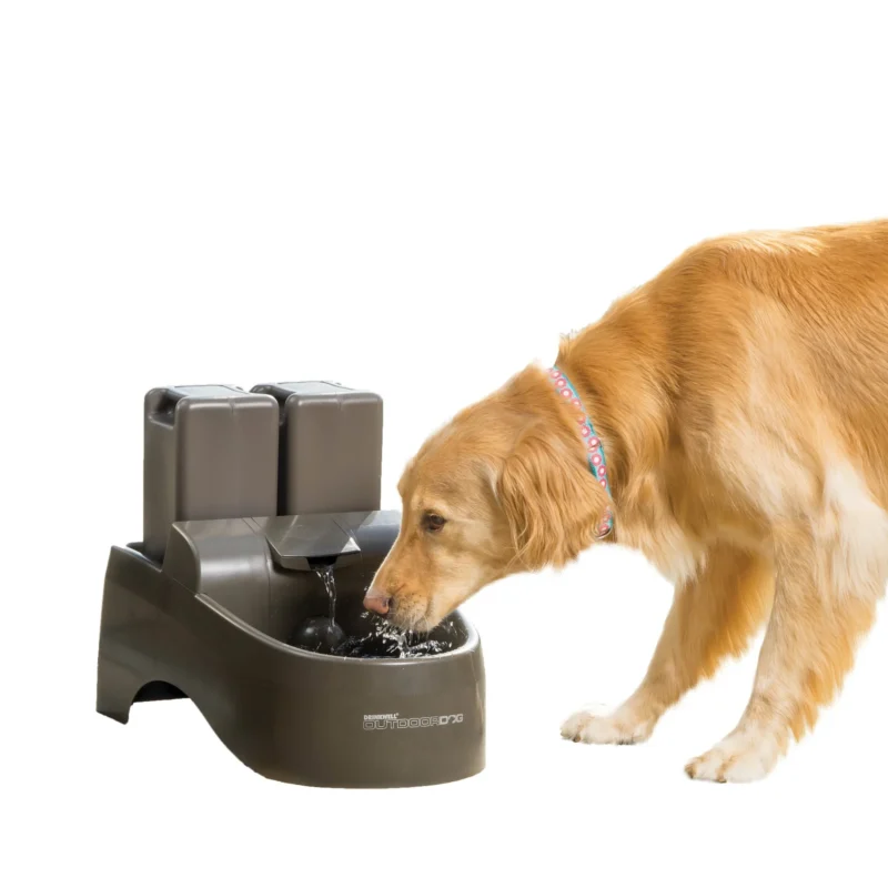 Dog Water Fountains