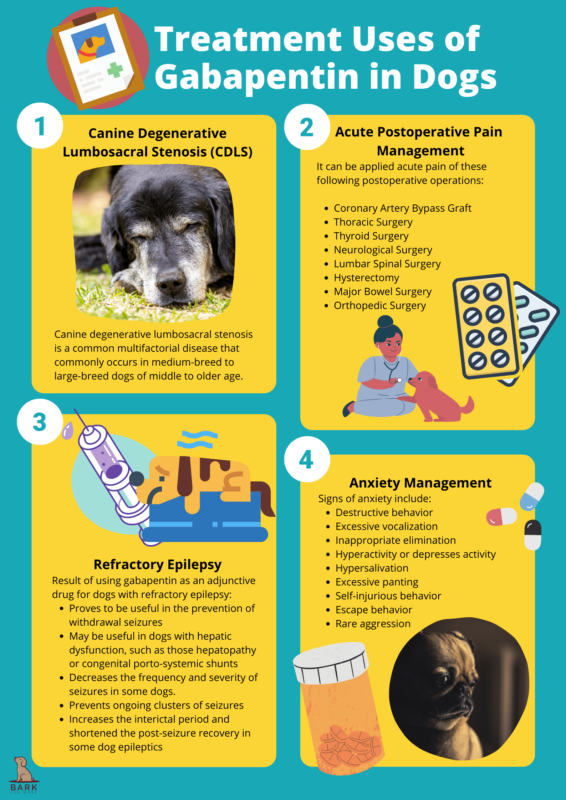 Gabapentin for Dogs