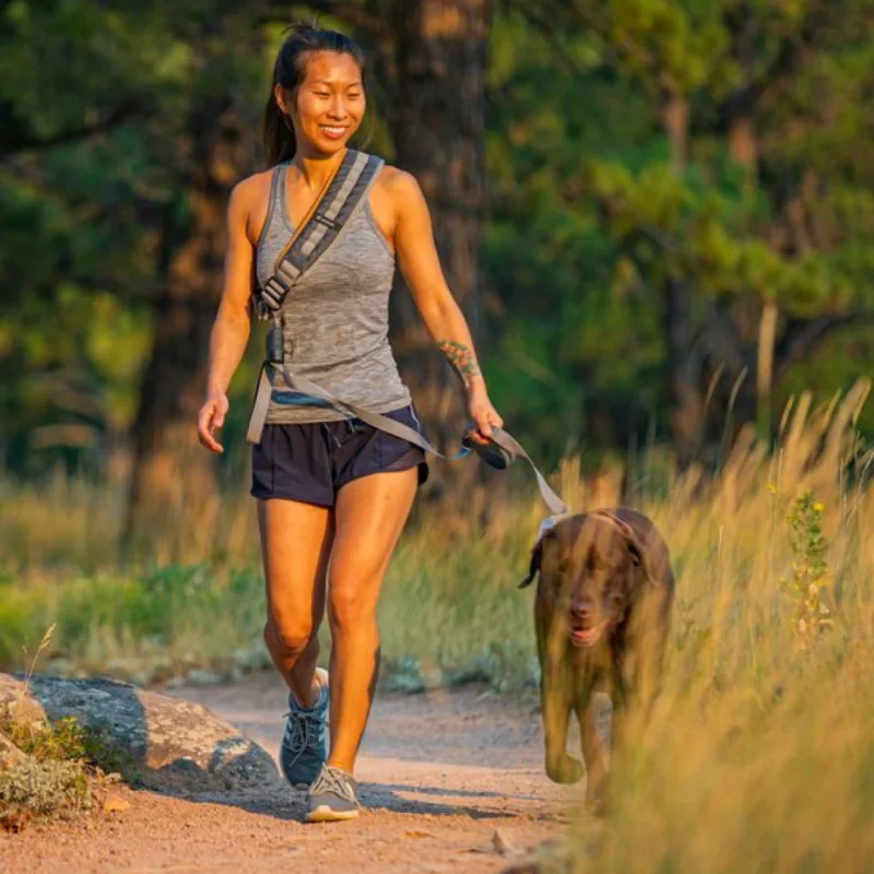 Hands-Free Dog Leashes 